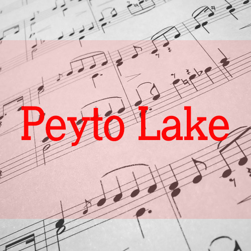 Peyto Lake(3P)